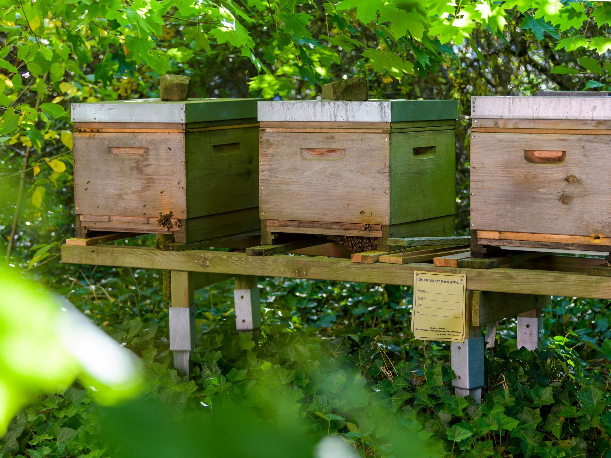 Photo - Mercure Hotel Köln West