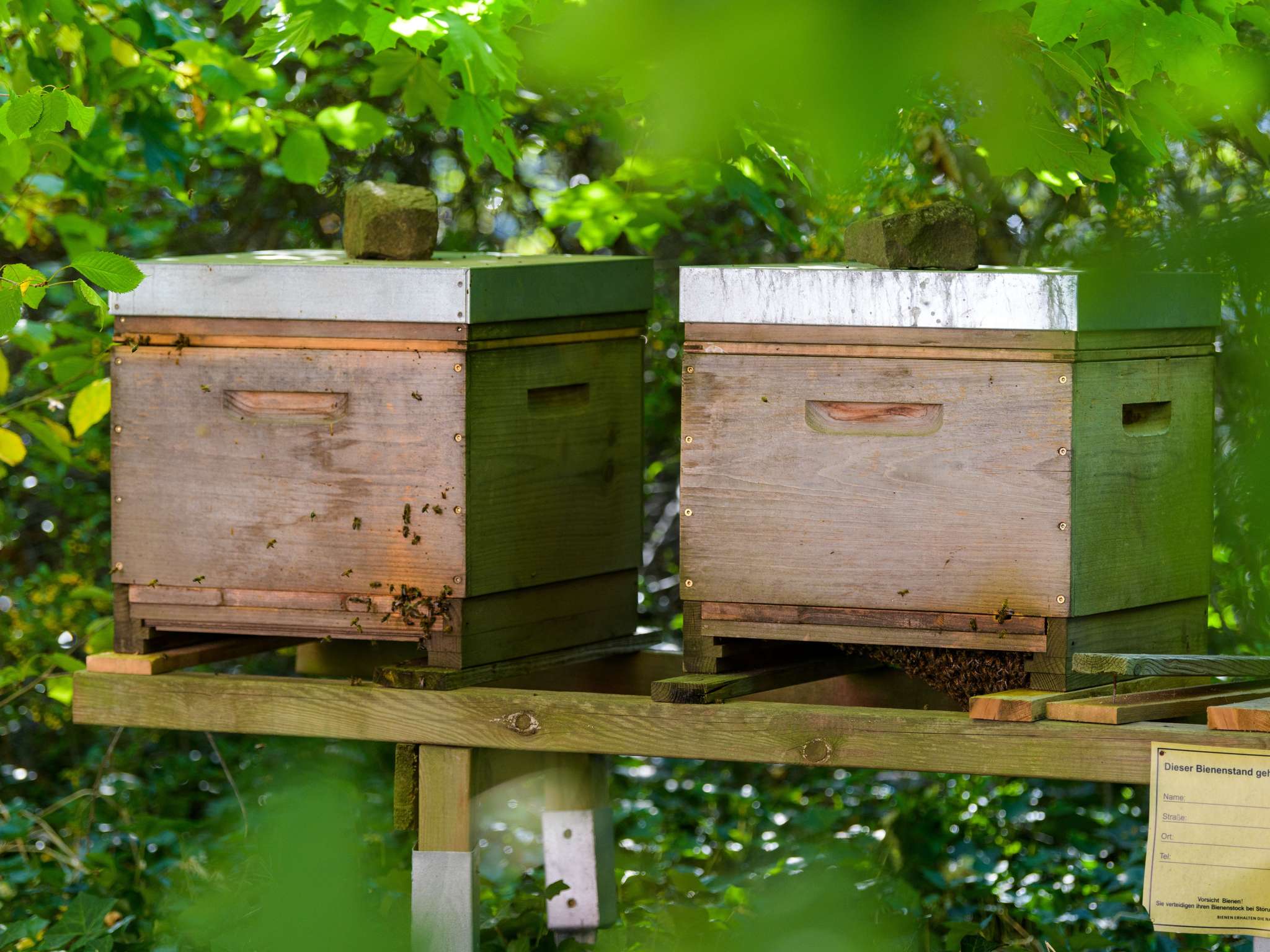 Photo - Mercure Hotel Köln West