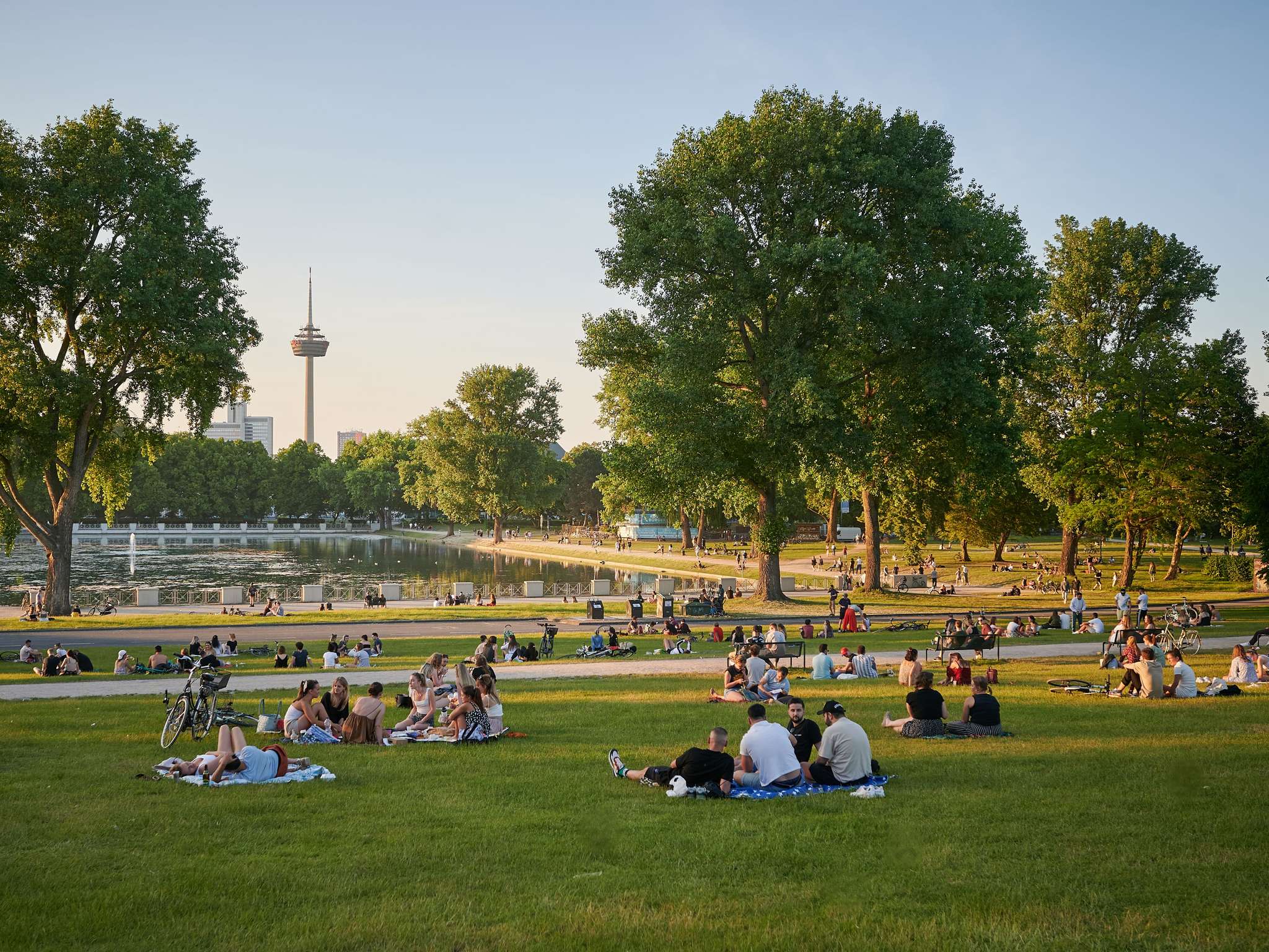 Photo - Mercure Hotel Köln West