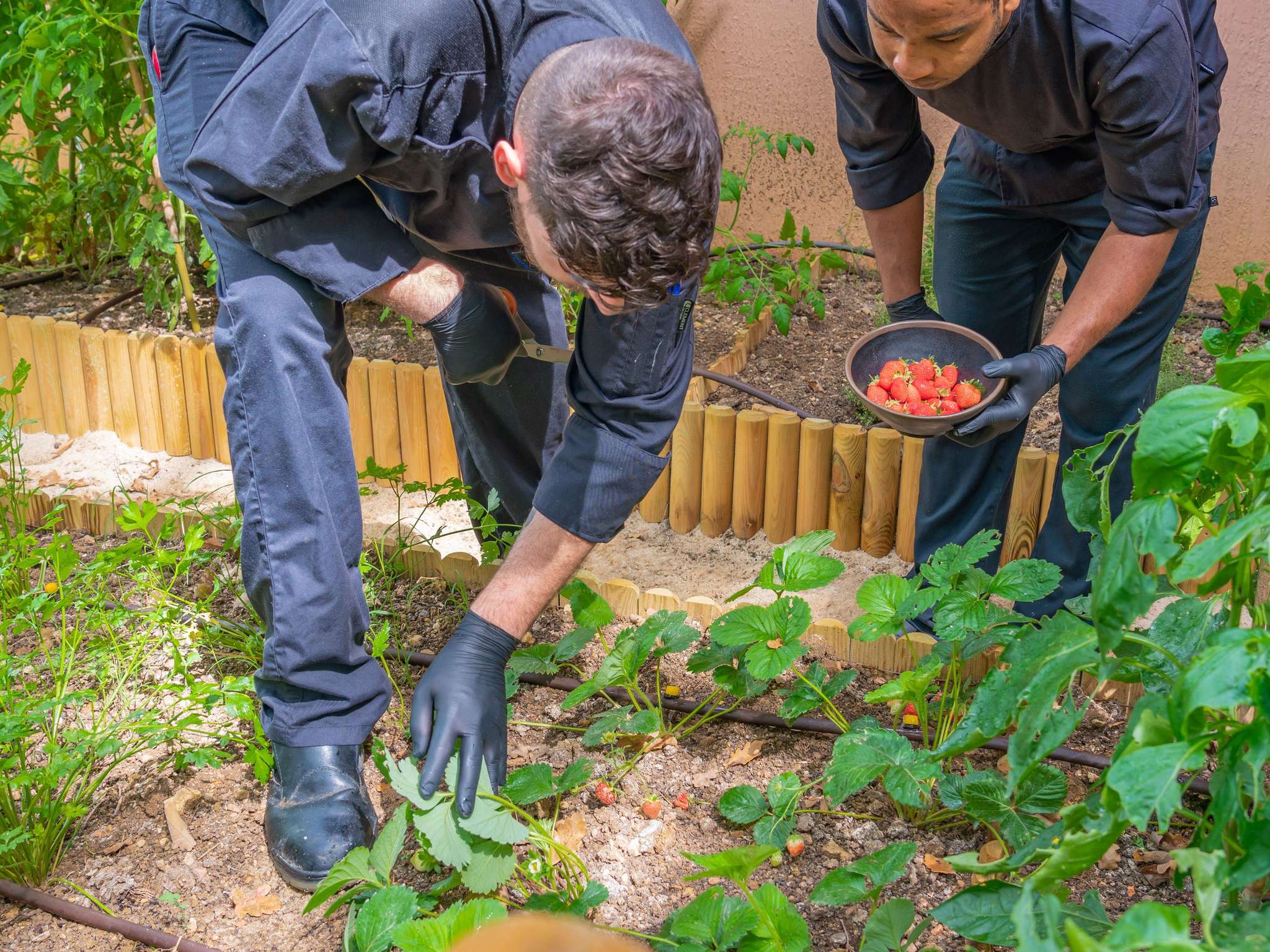 Foto - ibis Antibes Sophia-Antipolis
