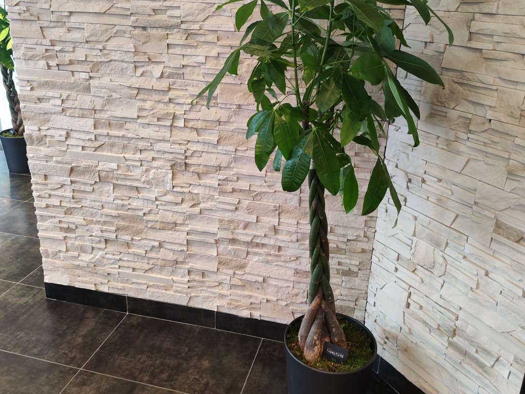 ibis Styles Rennes Centre Gare - Nord - Image 3