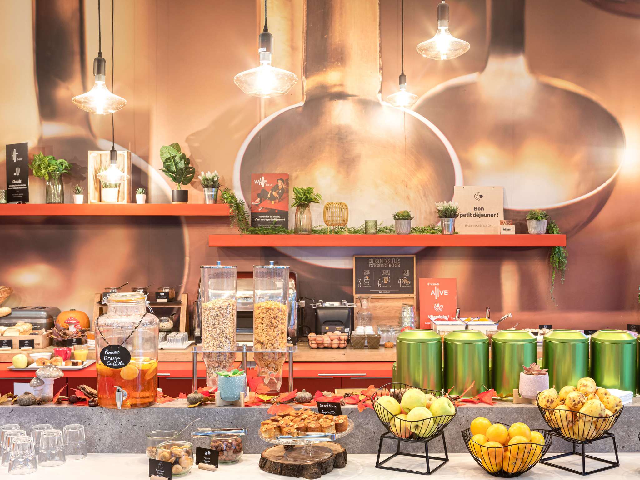 Photo - ibis Lyon Gerland Musée des Confluences