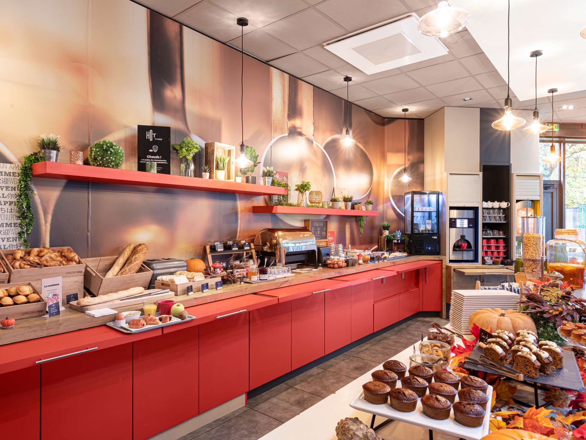 Photo - ibis Lyon Gerland Musée des Confluences