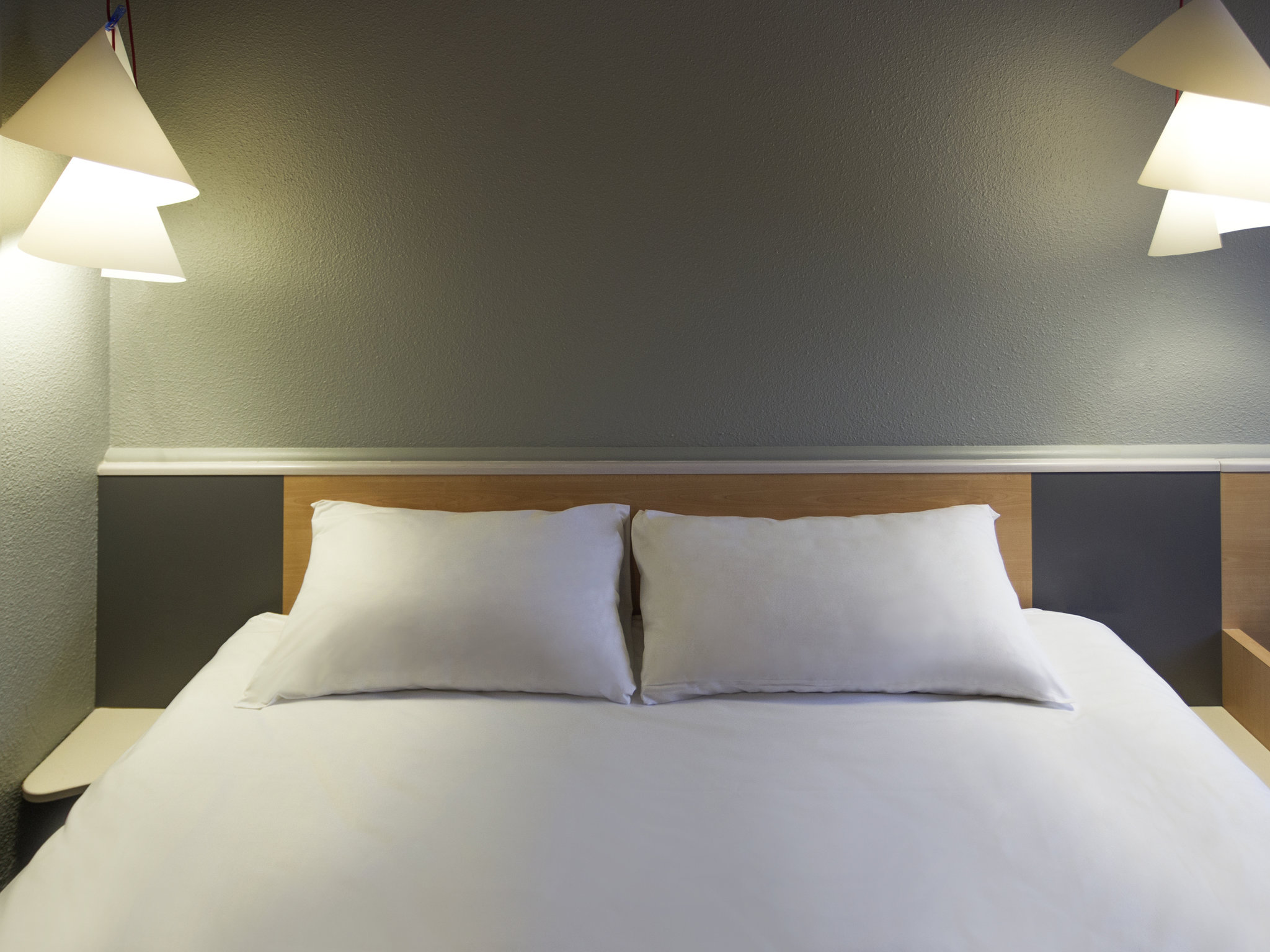 Photo - ibis Lyon Gerland Musée des Confluences