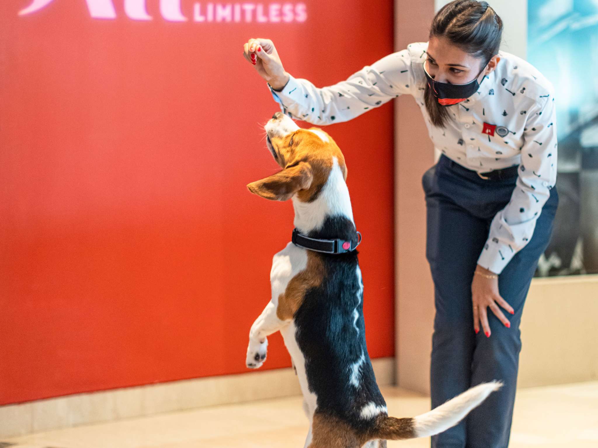 Photo - ibis Hotel Düsseldorf Hauptbahnhof