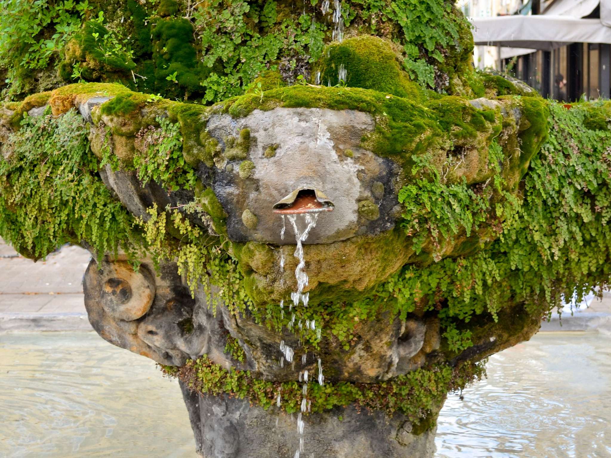 Foto - ibis Salon de Provence