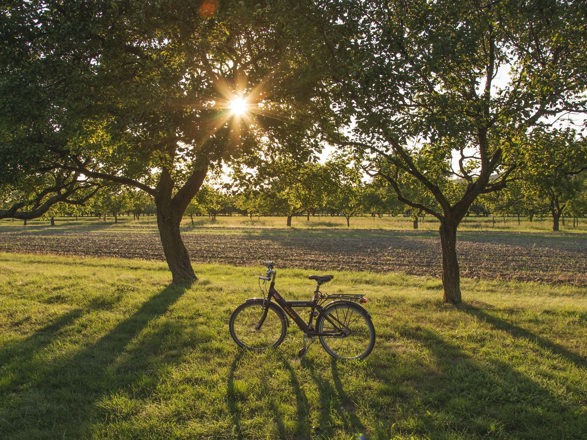 Photo - Grand Hotel Bregenz - MGallery Collection