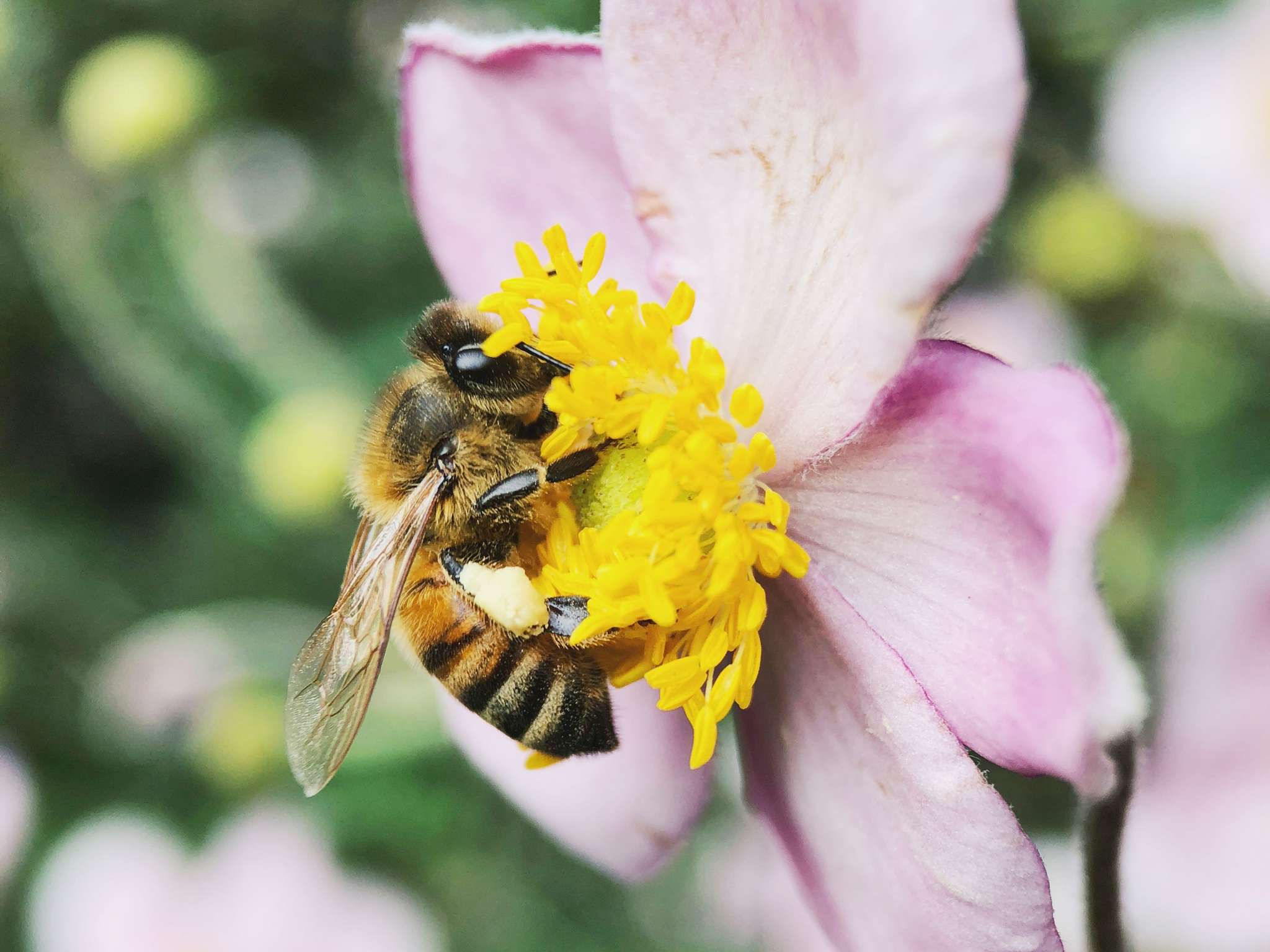 Photo - Grand Hotel Bregenz - MGallery Collection
