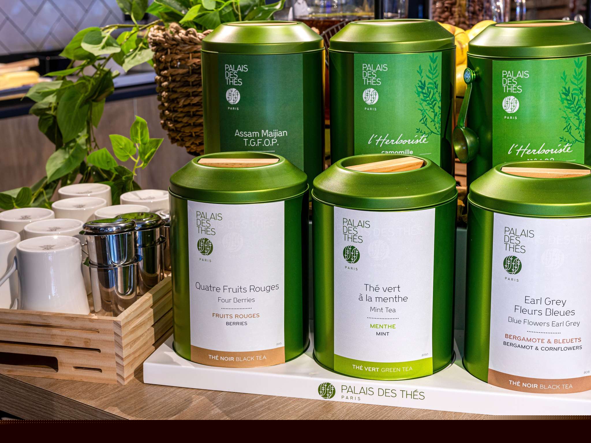 Foto - ibis Egletons