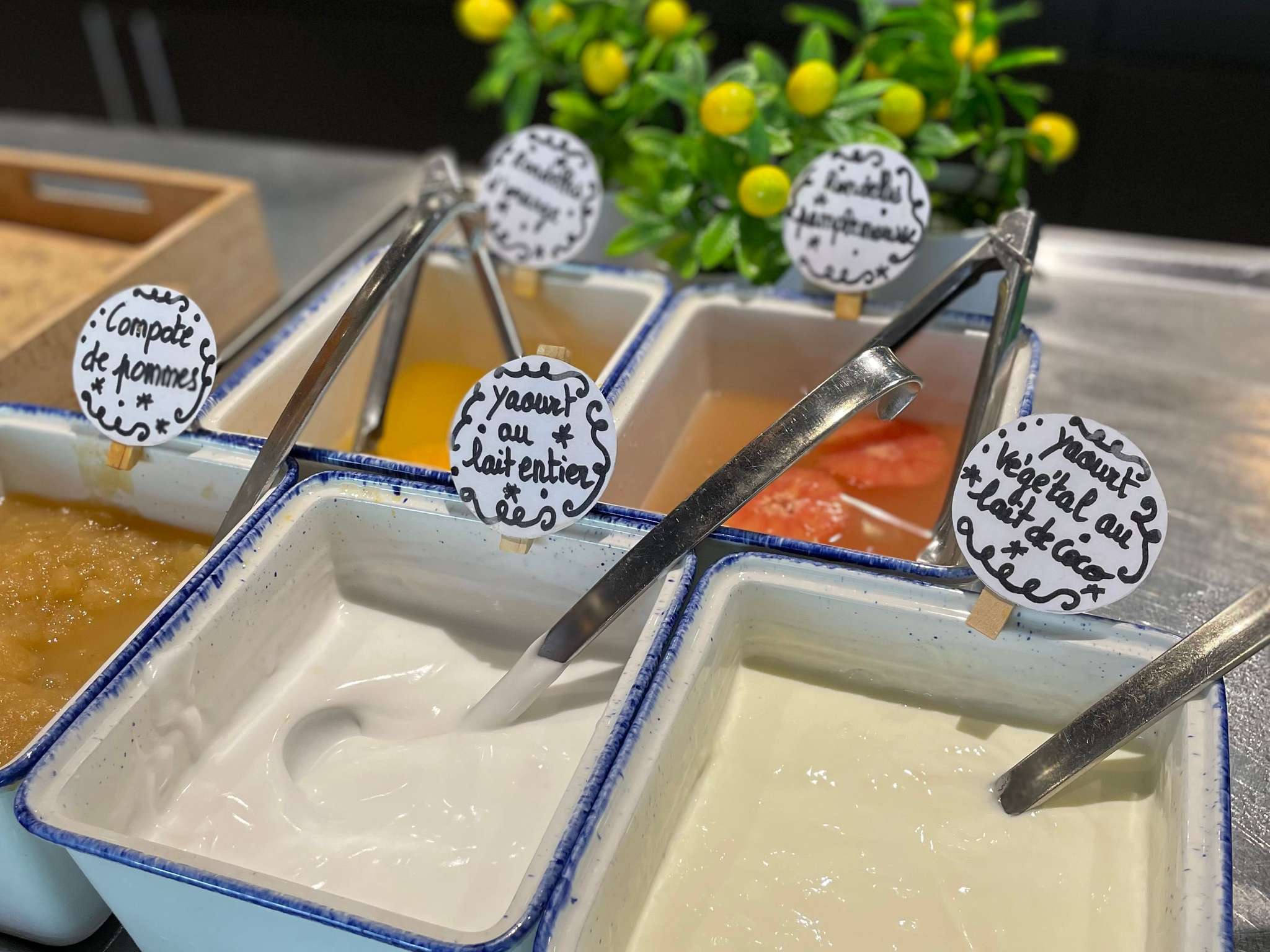 Foto - ibis Bordeaux Pessac Route des Vins