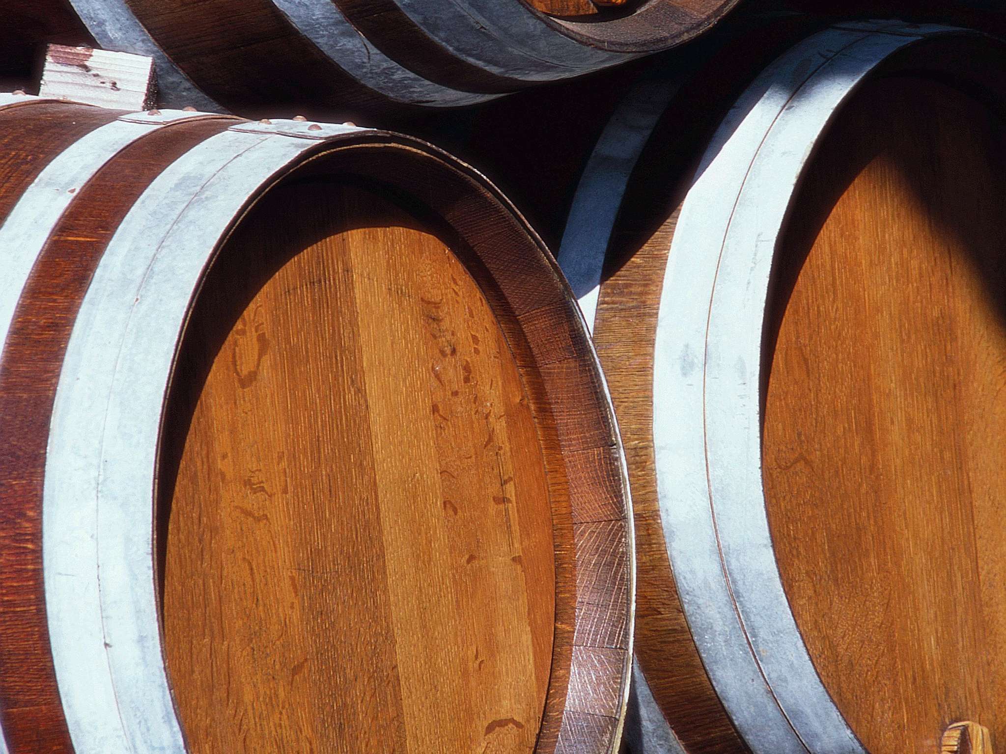 Foto - ibis Bordeaux Pessac Route des Vins