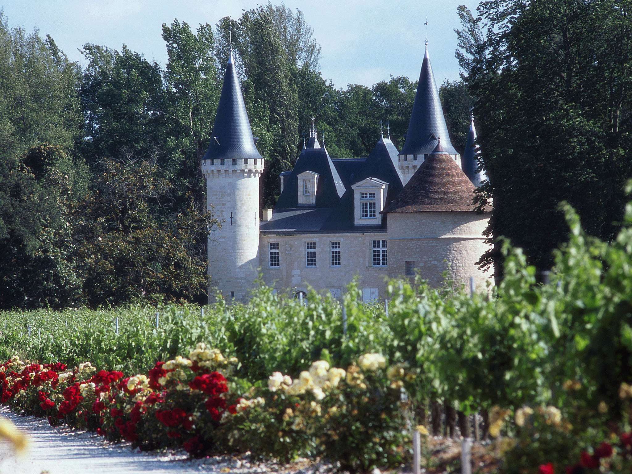 Foto - ibis Bordeaux Pessac Route des Vins