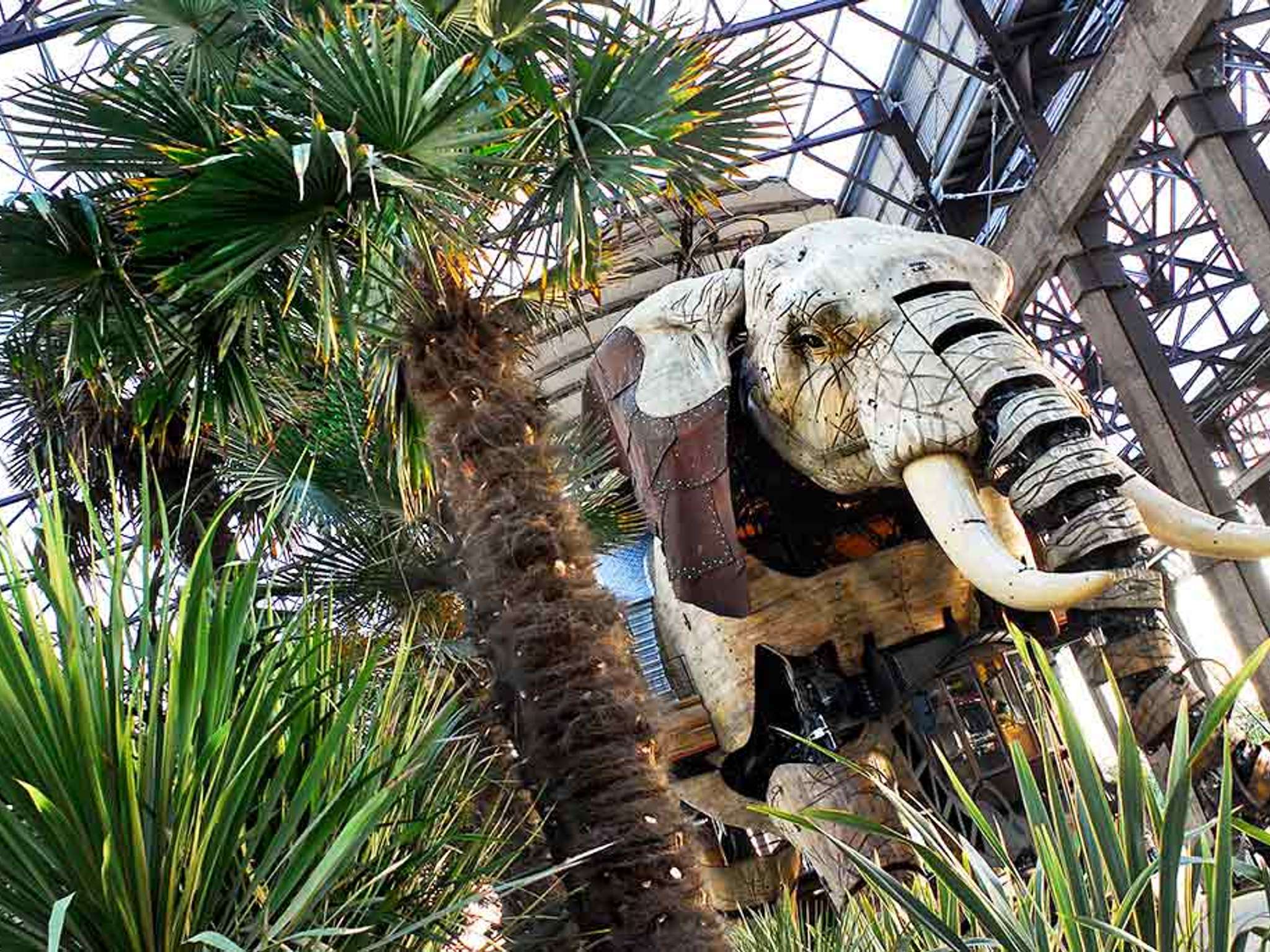 Photo - Ibis Nantes la Beaujoire Parc Expo