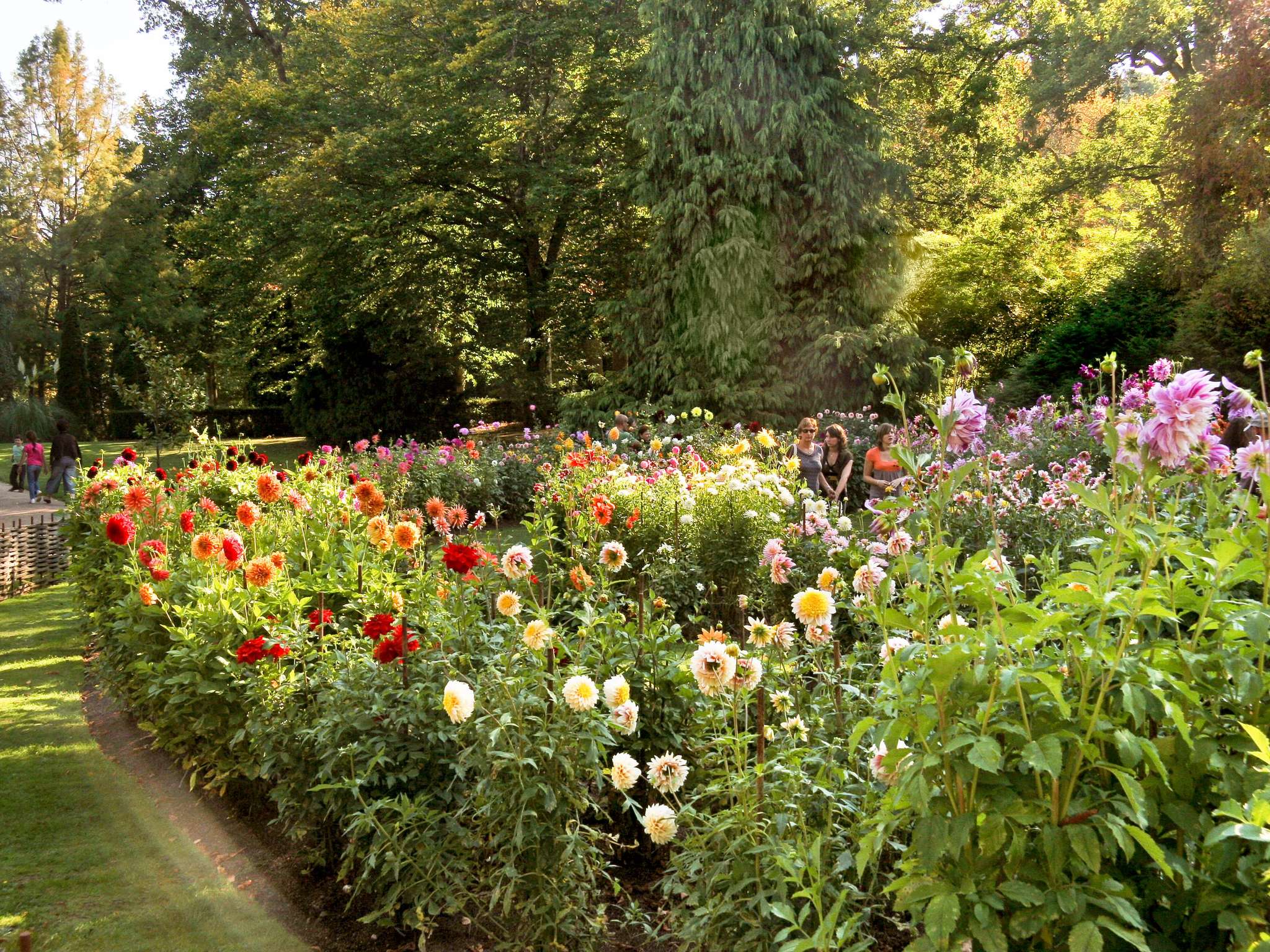 Photo - ibis Orleans Centre Gare