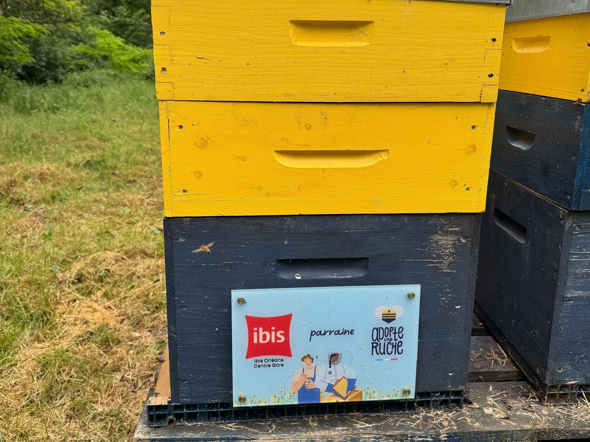 Photo - ibis Orleans Centre Gare