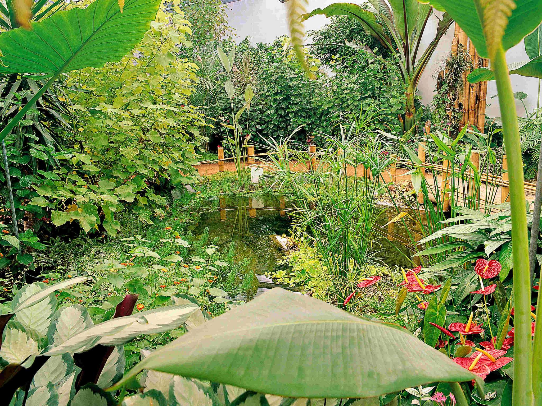 Photo - ibis Orleans Centre Gare