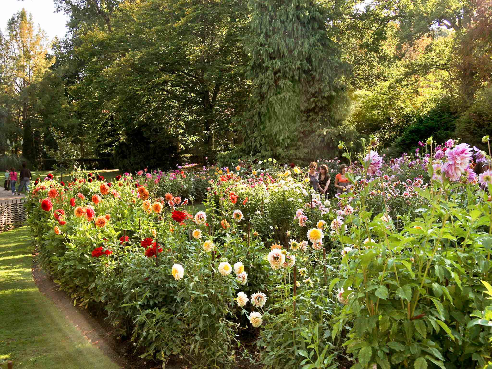 Photo - ibis Orleans Centre Gare