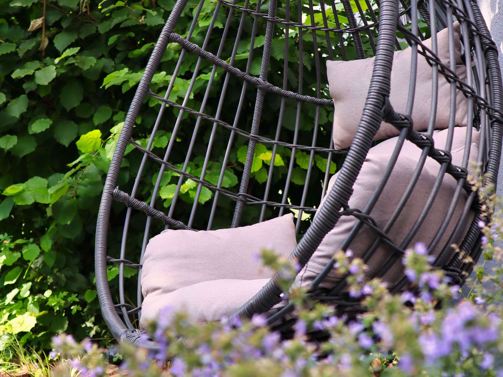 Foto - ibis Hotel Regensburg City