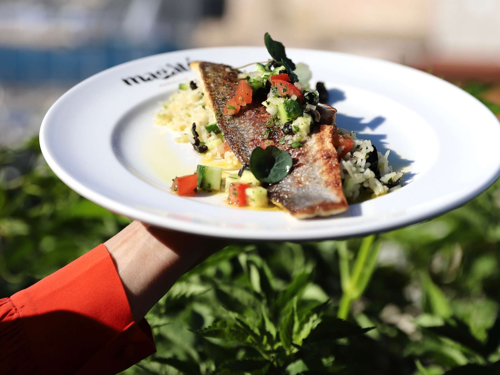 Photo - Novotel Marseille Vieux Port