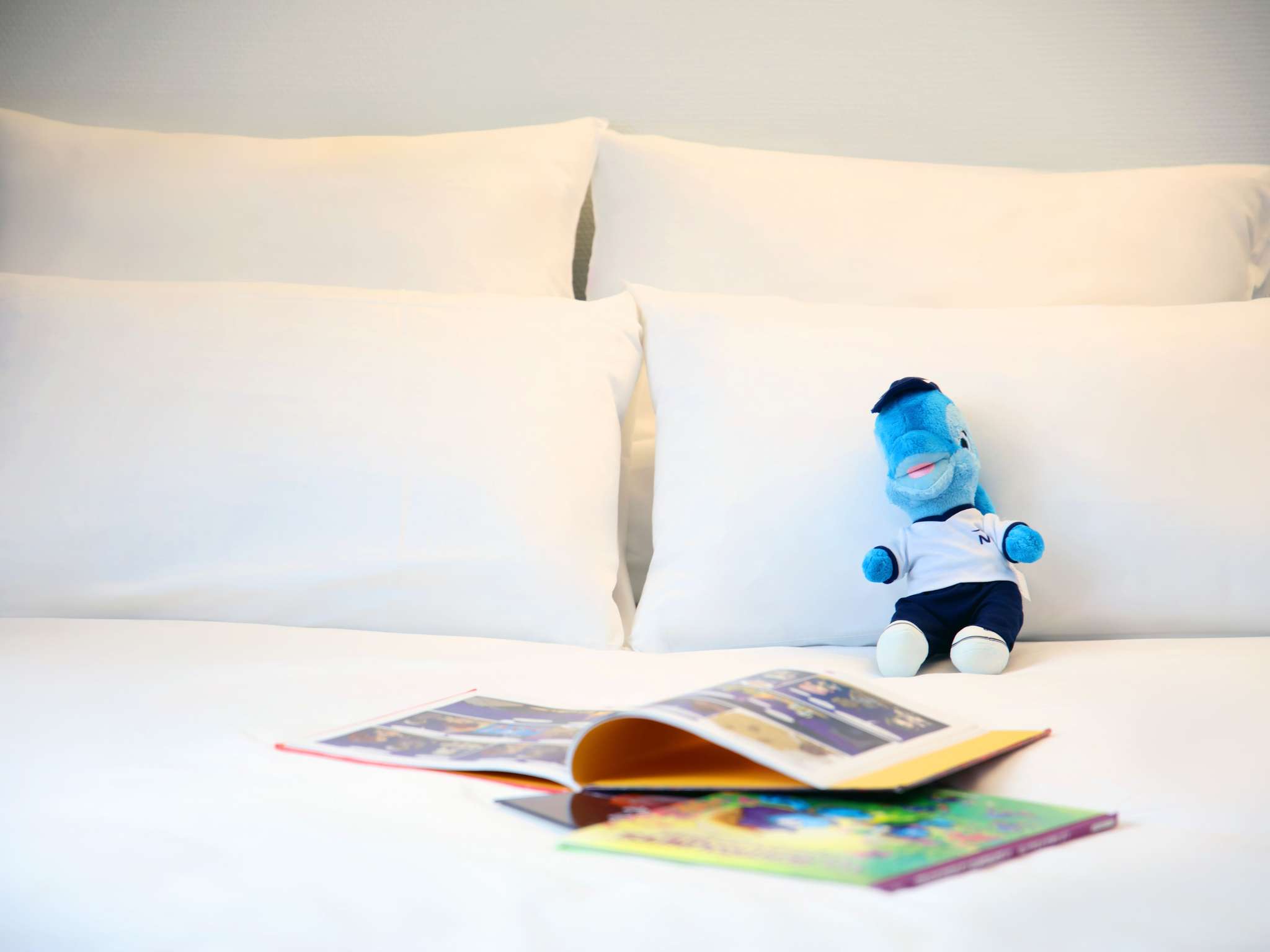 Photo - Novotel Lille Centre Grand Place