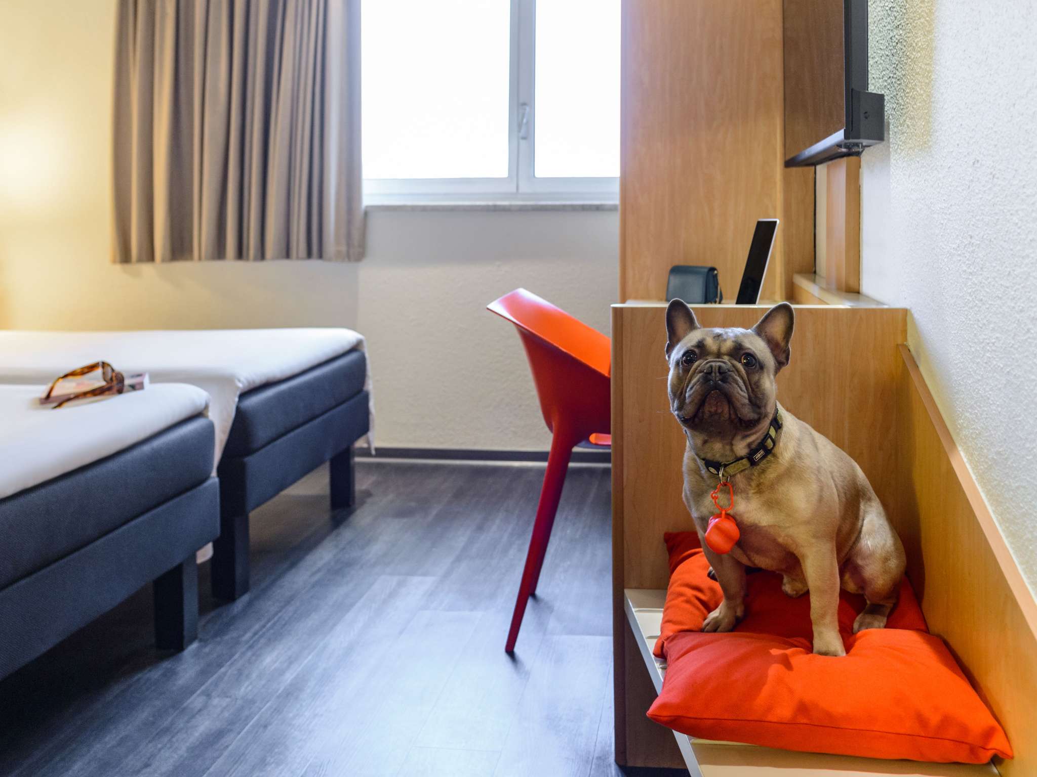 Photo - Ibis Milano Centro