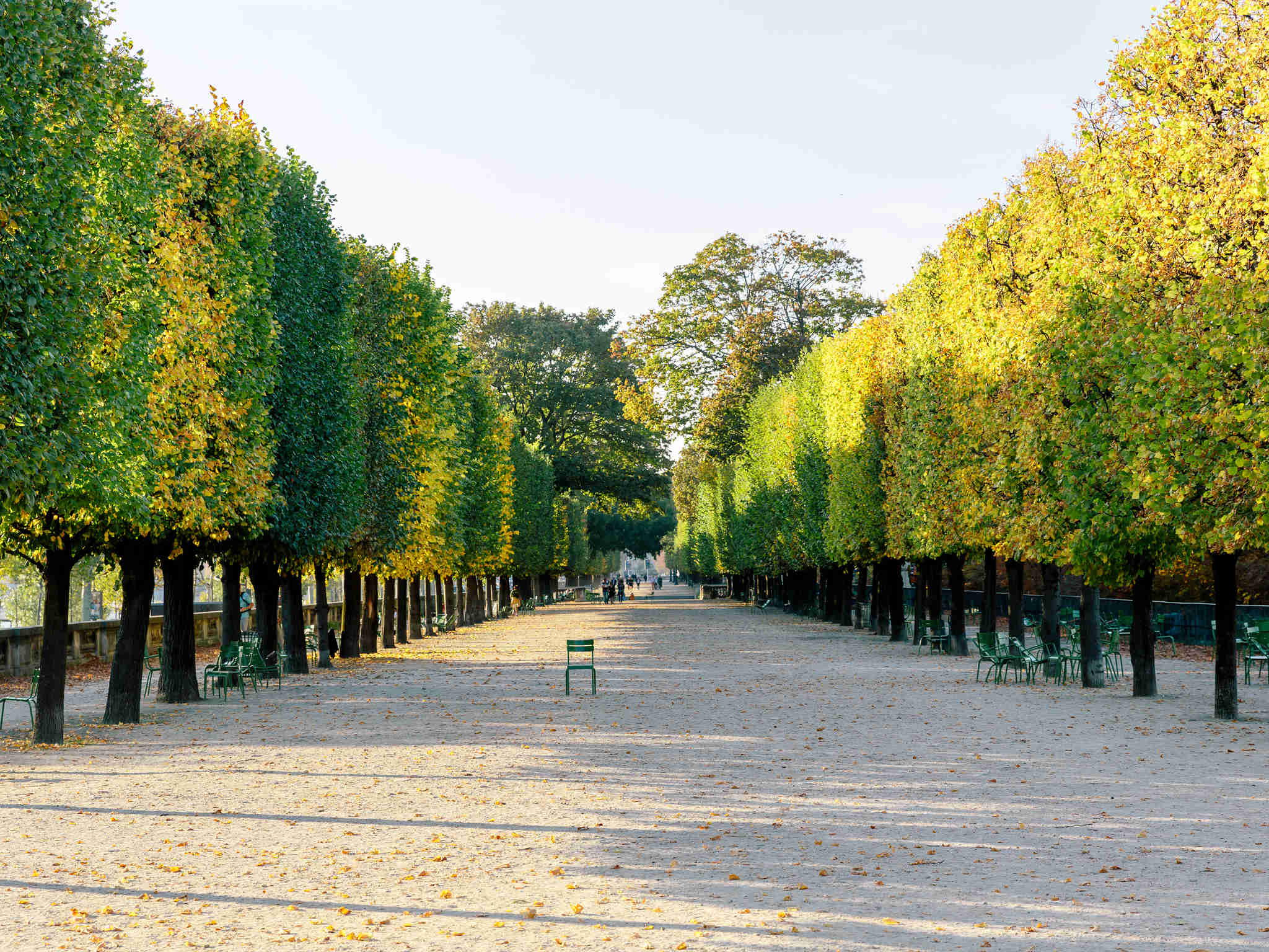 Foto - Mercure Paris Bercy Bibliothèque