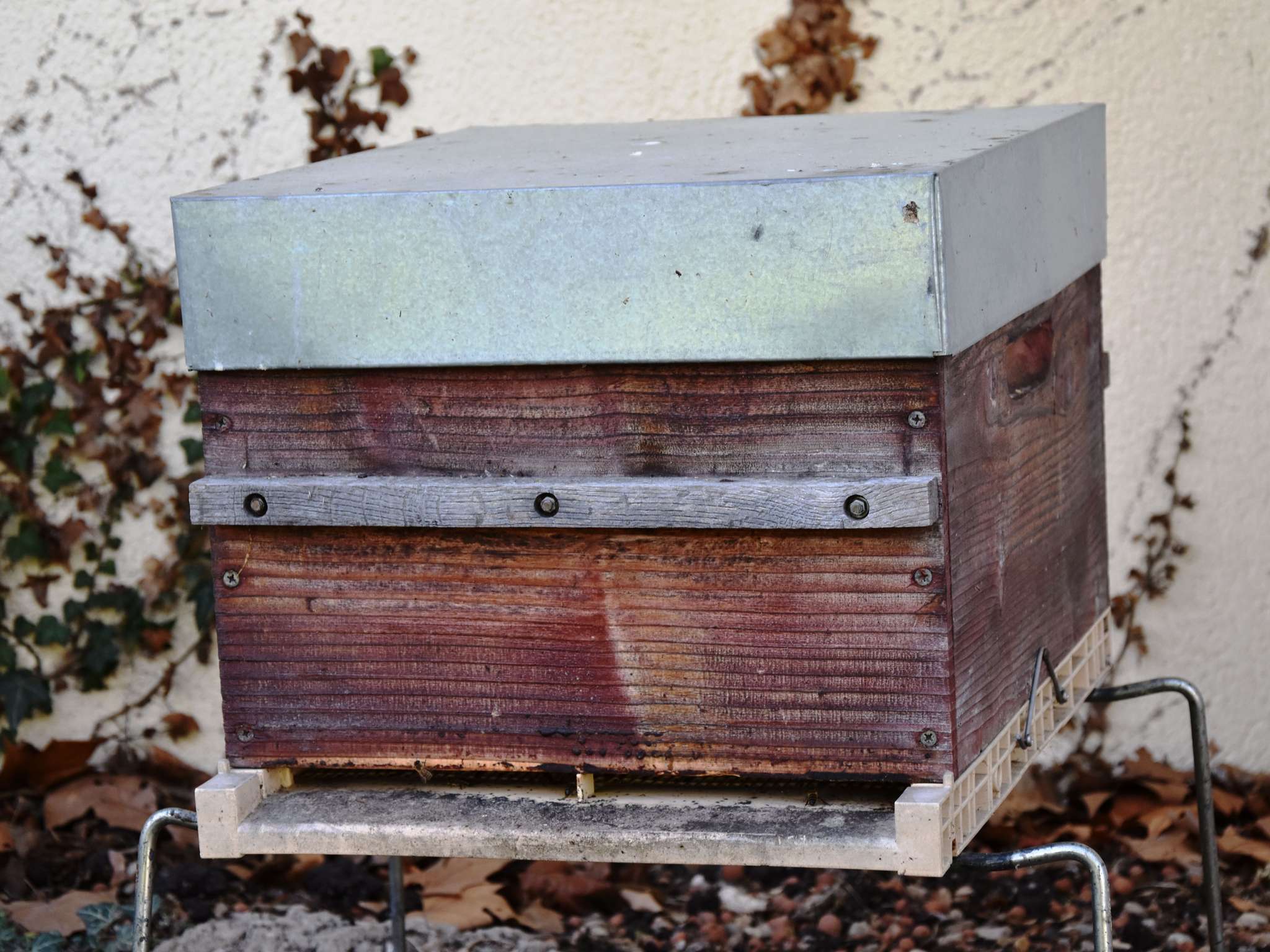 Foto - Hôtel Ibis Nevers