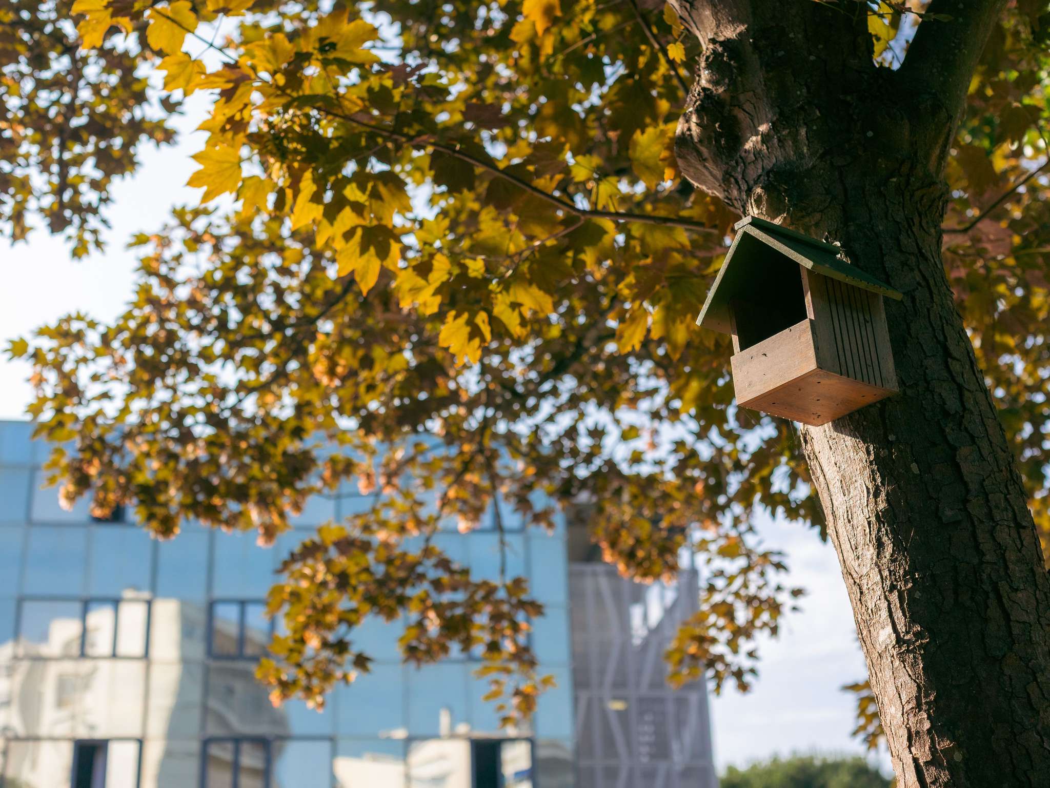 Photo - Novotel La Rochelle Centre