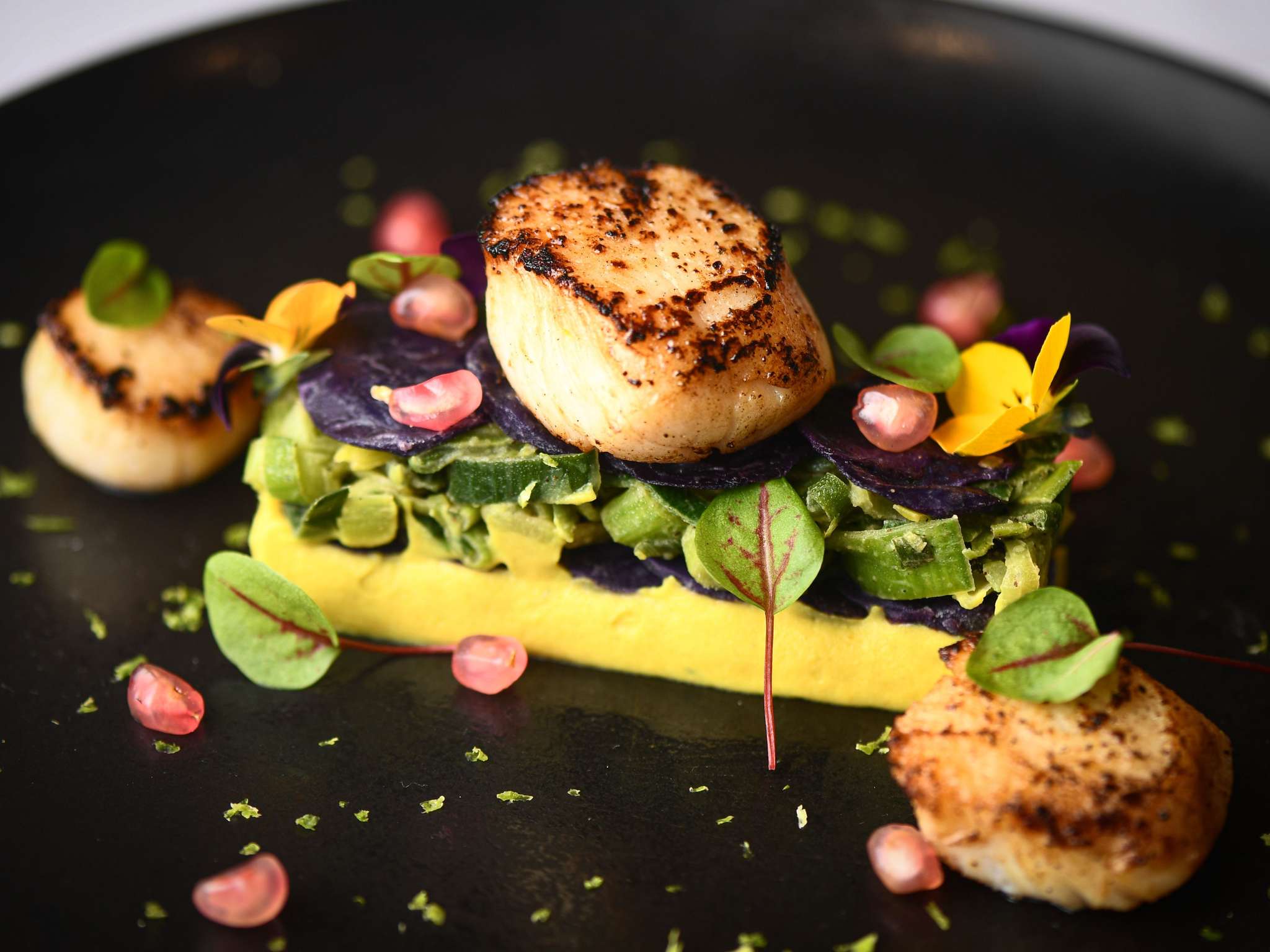 Foto - ibis Beaune La Ferme Aux Vins