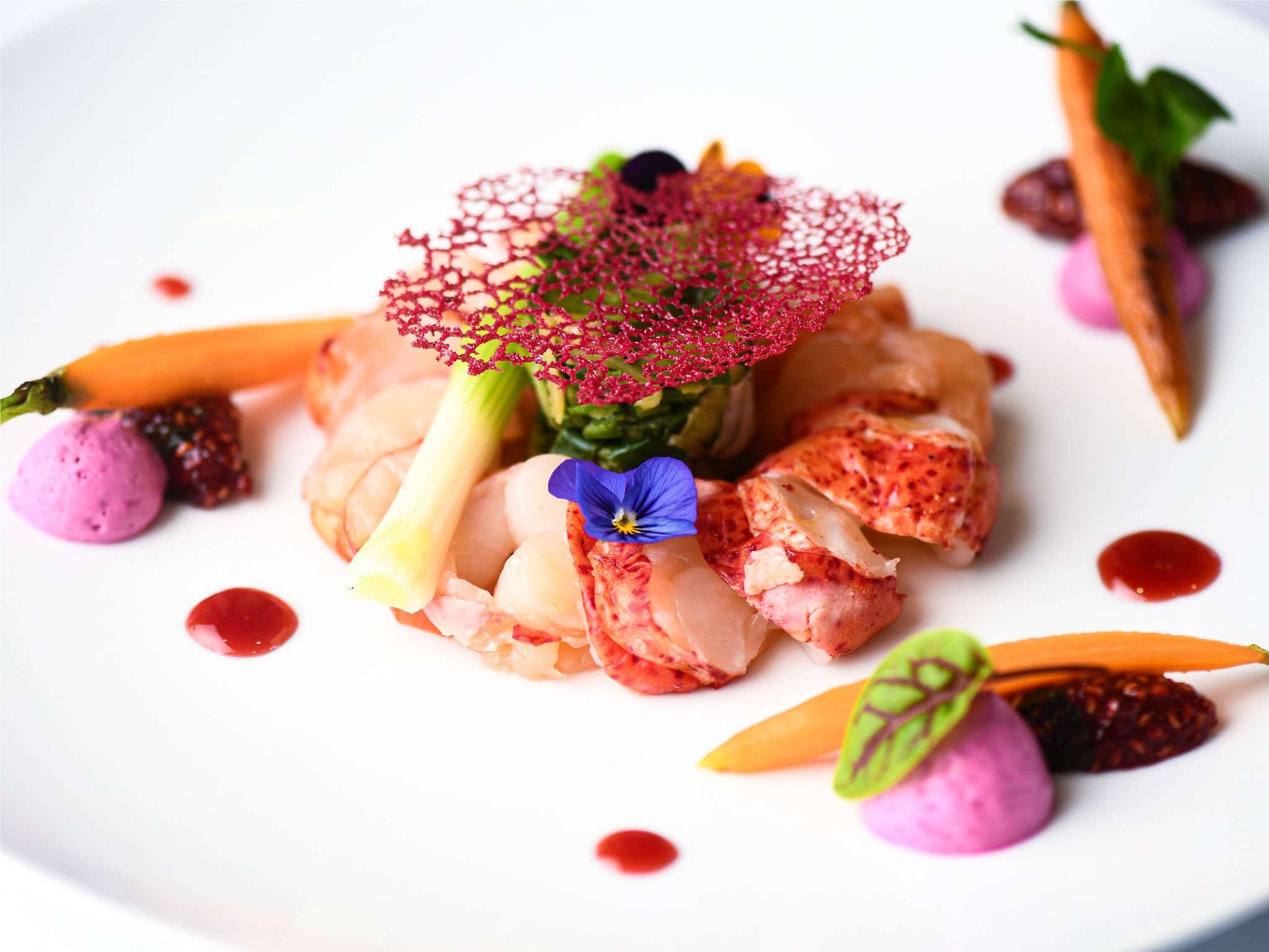 Foto - ibis Beaune La Ferme Aux Vins