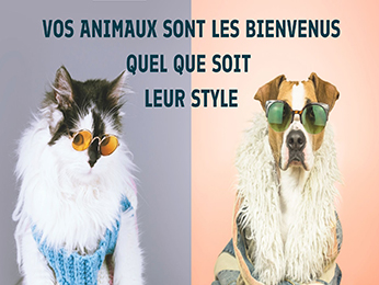 Photo - Ibis Paris Nord Villepinte Parc des Expositions