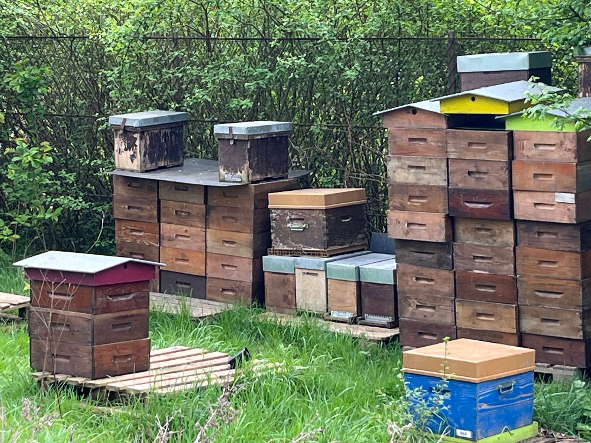 Photo - Ibis Paris Nord Villepinte Parc des Expositions