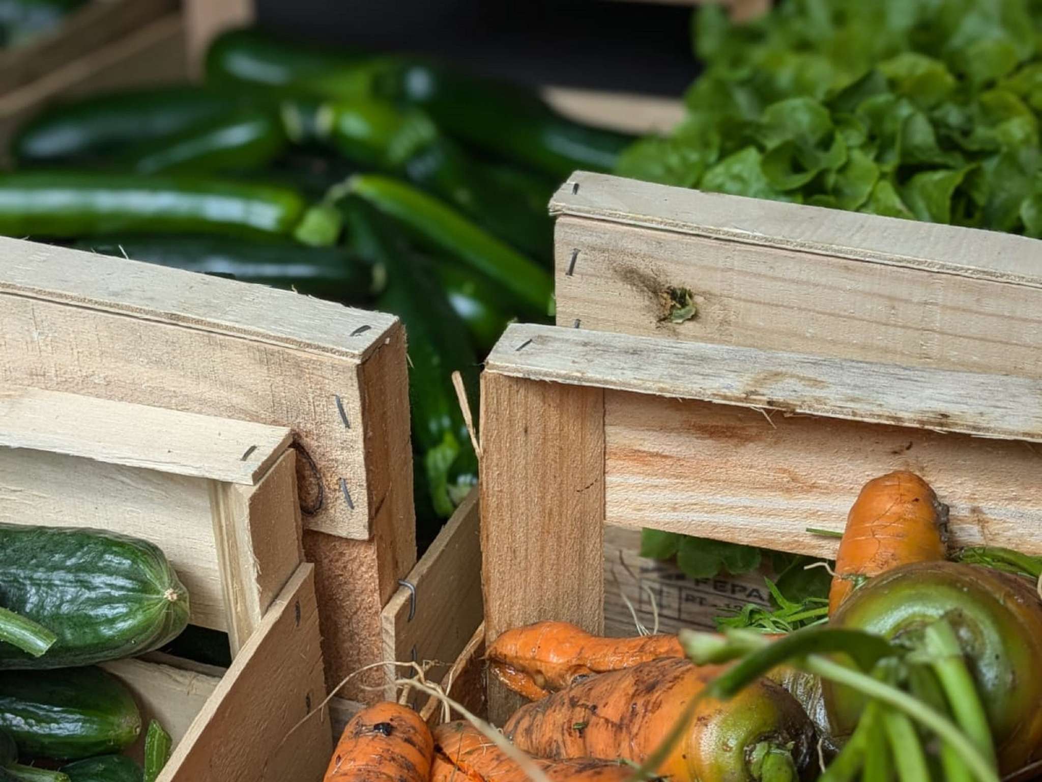 Photo - Hotel Mercure Parc du Coudray - Barbizon