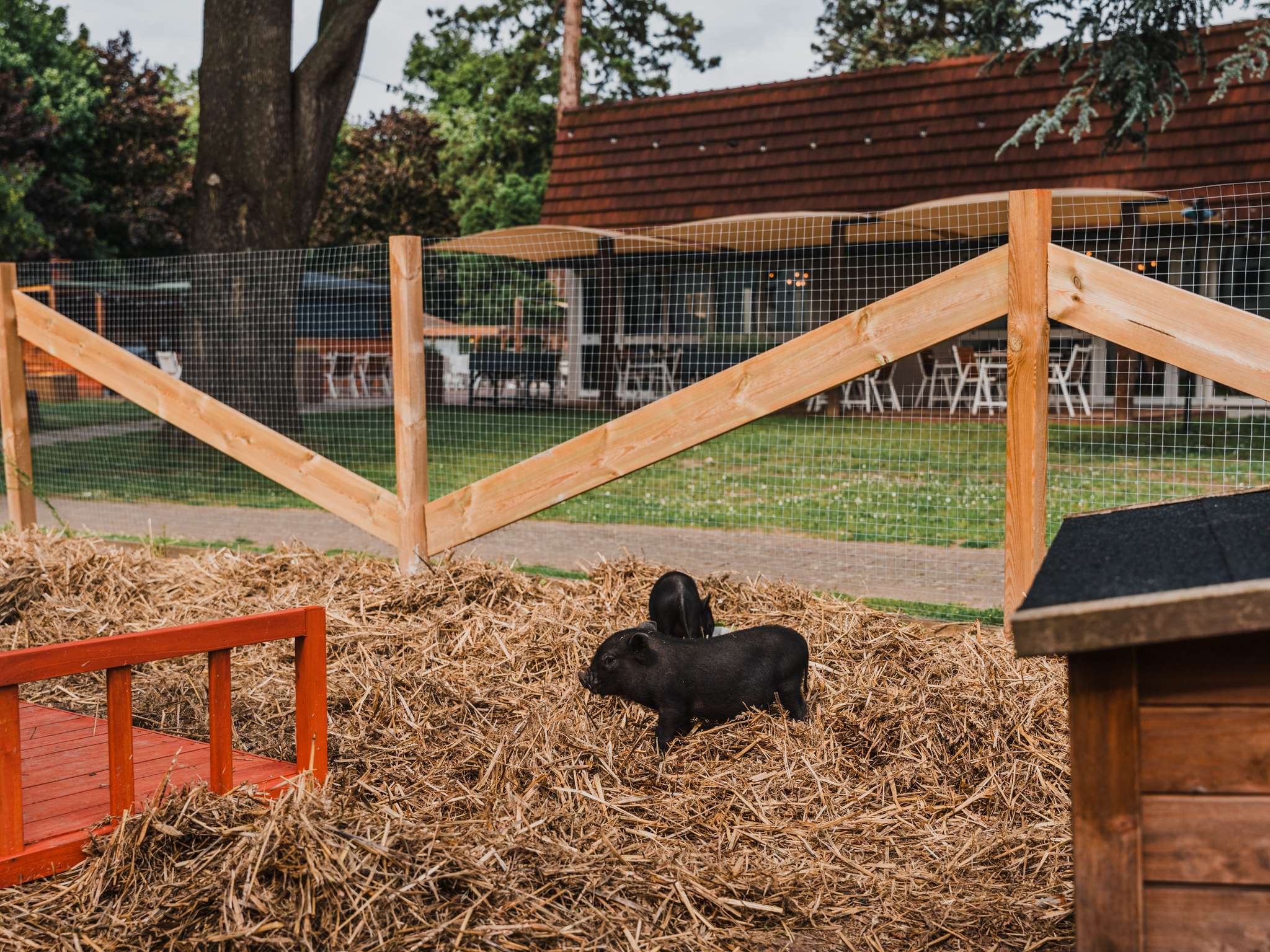 Photo - Hotel Mercure Parc du Coudray - Barbizon