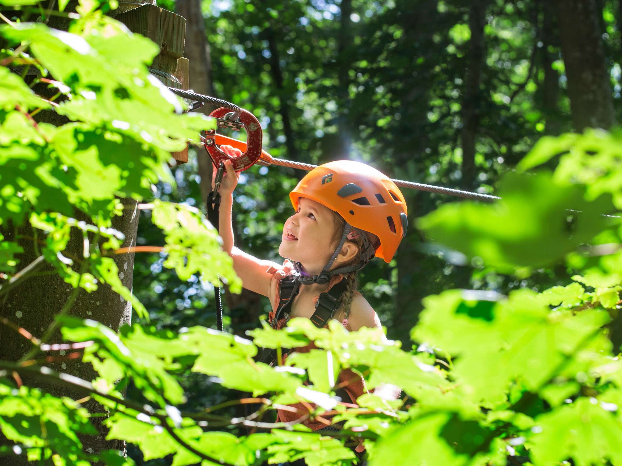 Photo - Hotel Mercure Parc du Coudray - Barbizon