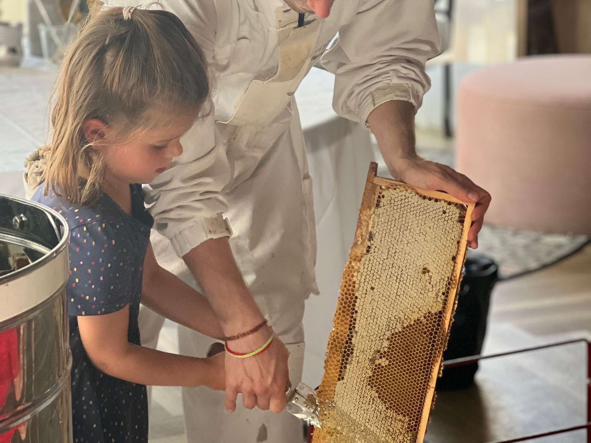 Photo - Hotel Mercure Parc du Coudray - Barbizon