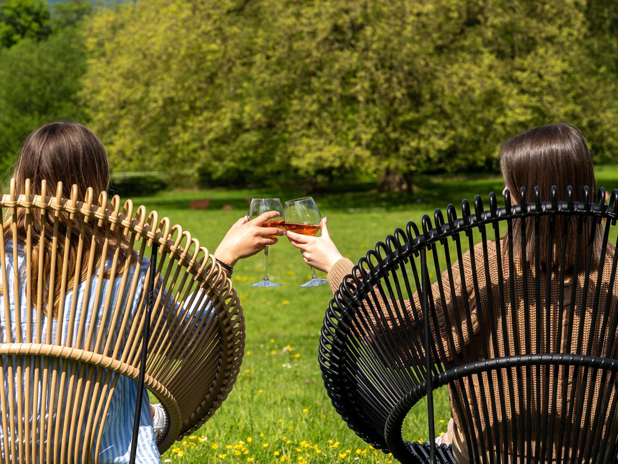 Photo - Hotel Mercure Parc du Coudray - Barbizon