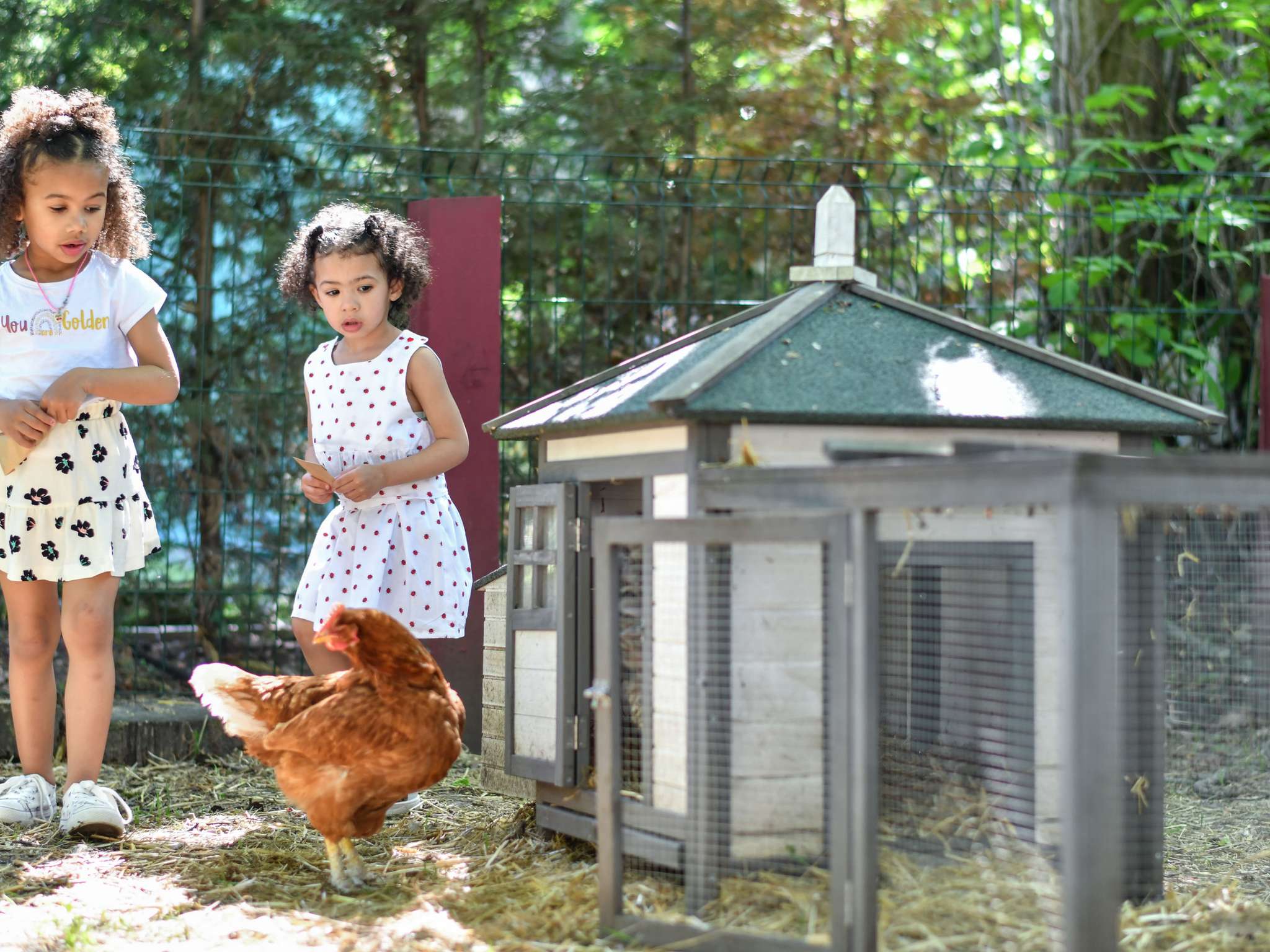 Photo - Hotel Mercure Parc du Coudray - Barbizon