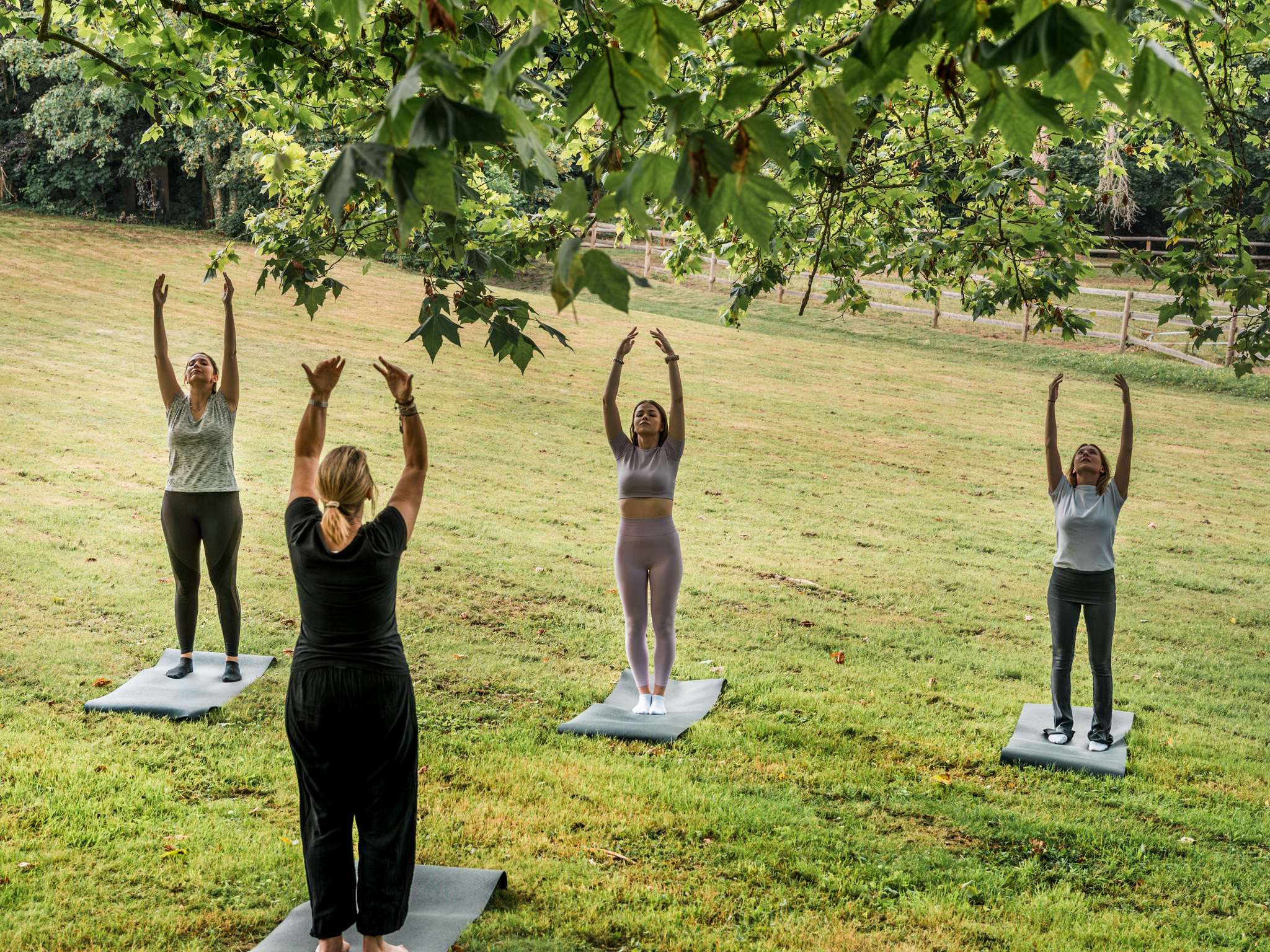 Photo - Hotel Mercure Parc du Coudray - Barbizon