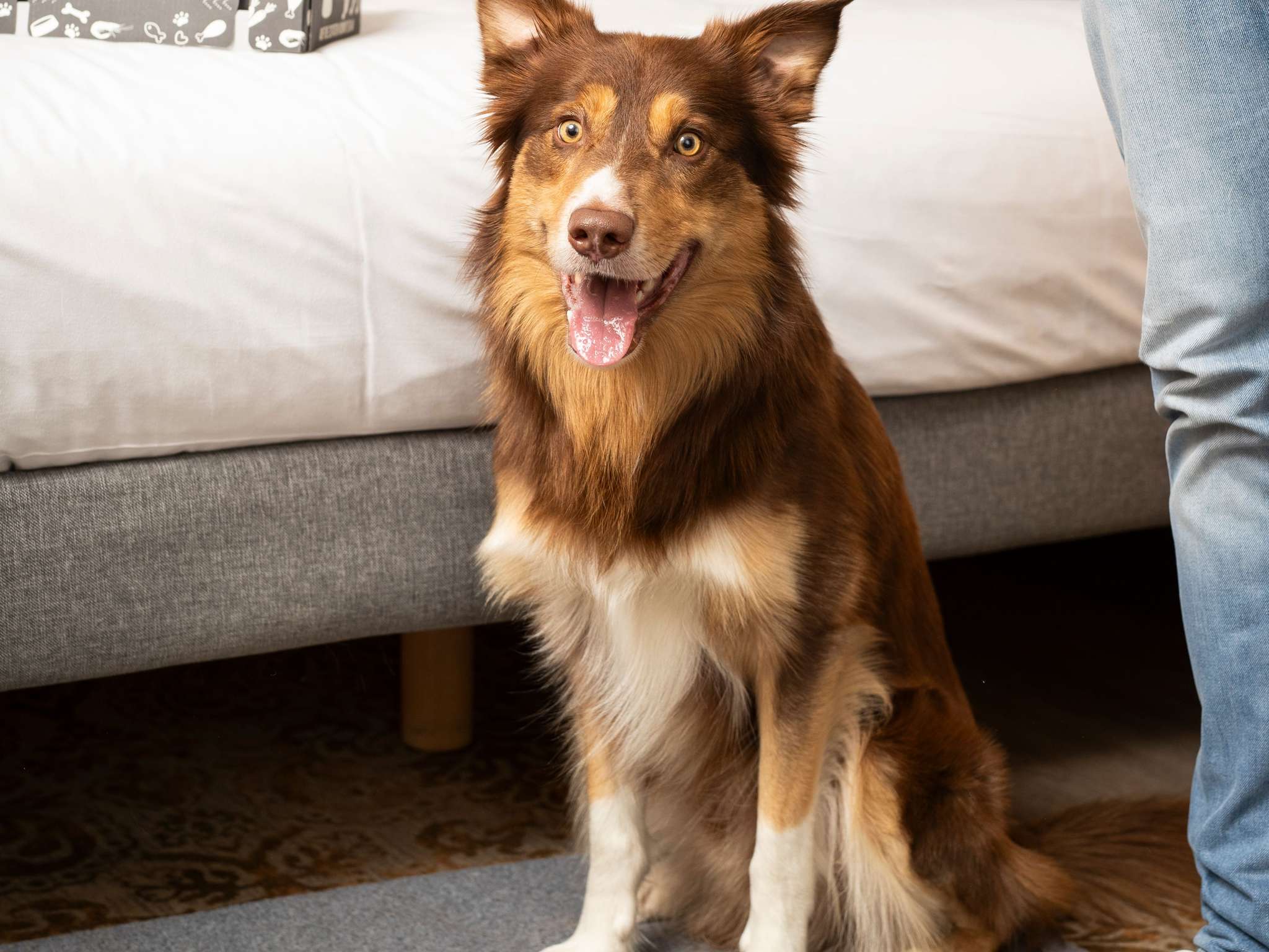 Photo - Novotel Maastricht