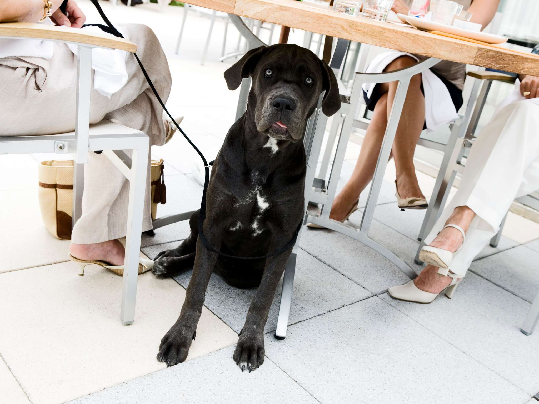 Foto - Novotel Paris Charles de Gaulle Airport