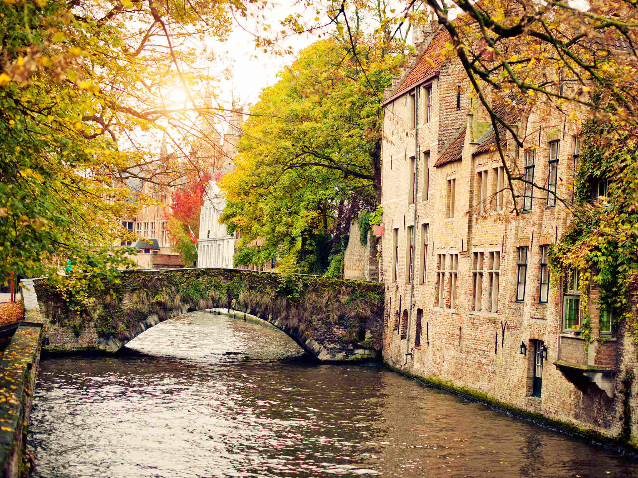 Foto - Novotel Brugge Centrum