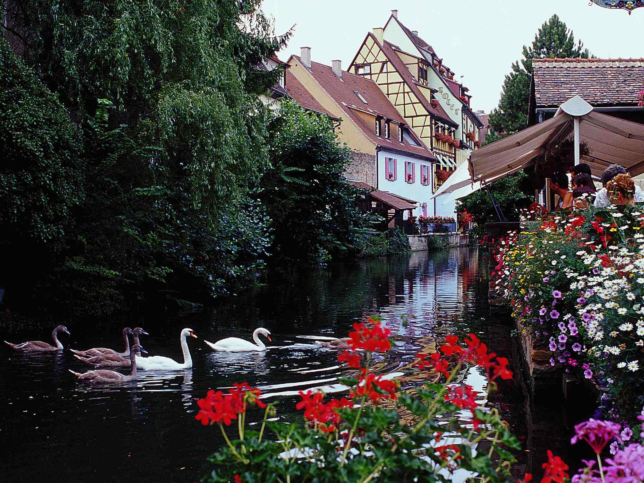 Foto - ibis Colmar Est - Hotel Restaurant en Alsace