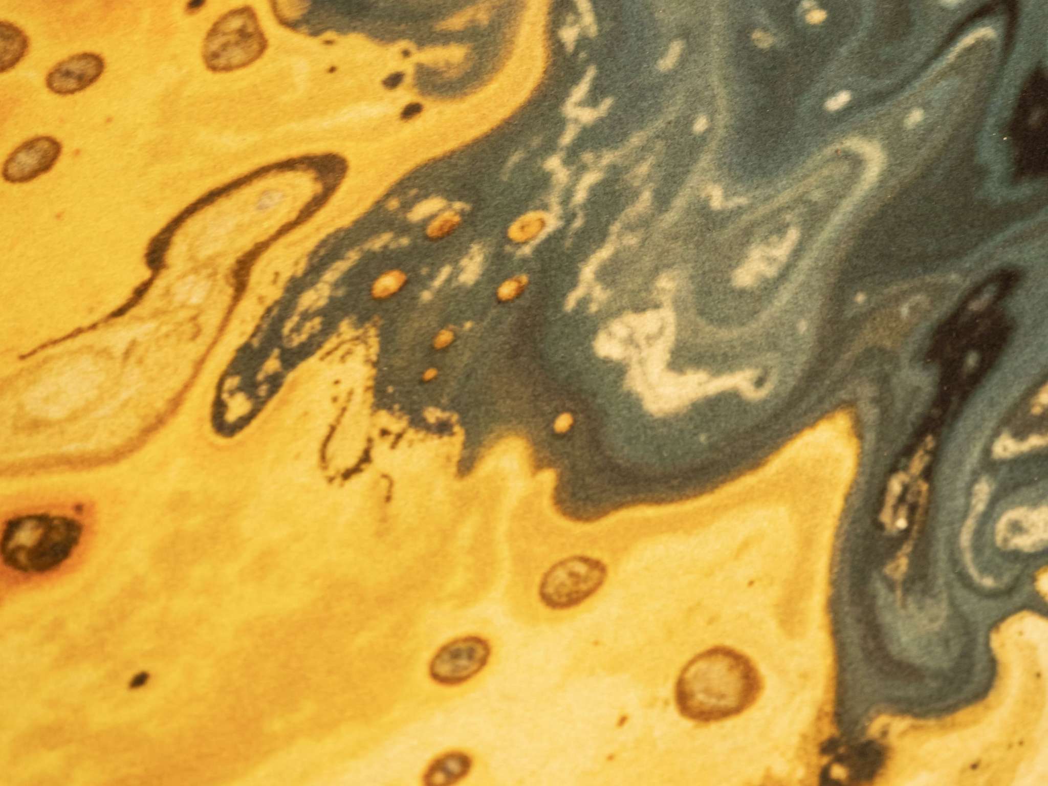 Foto - ibis Styles Brugge Centrum