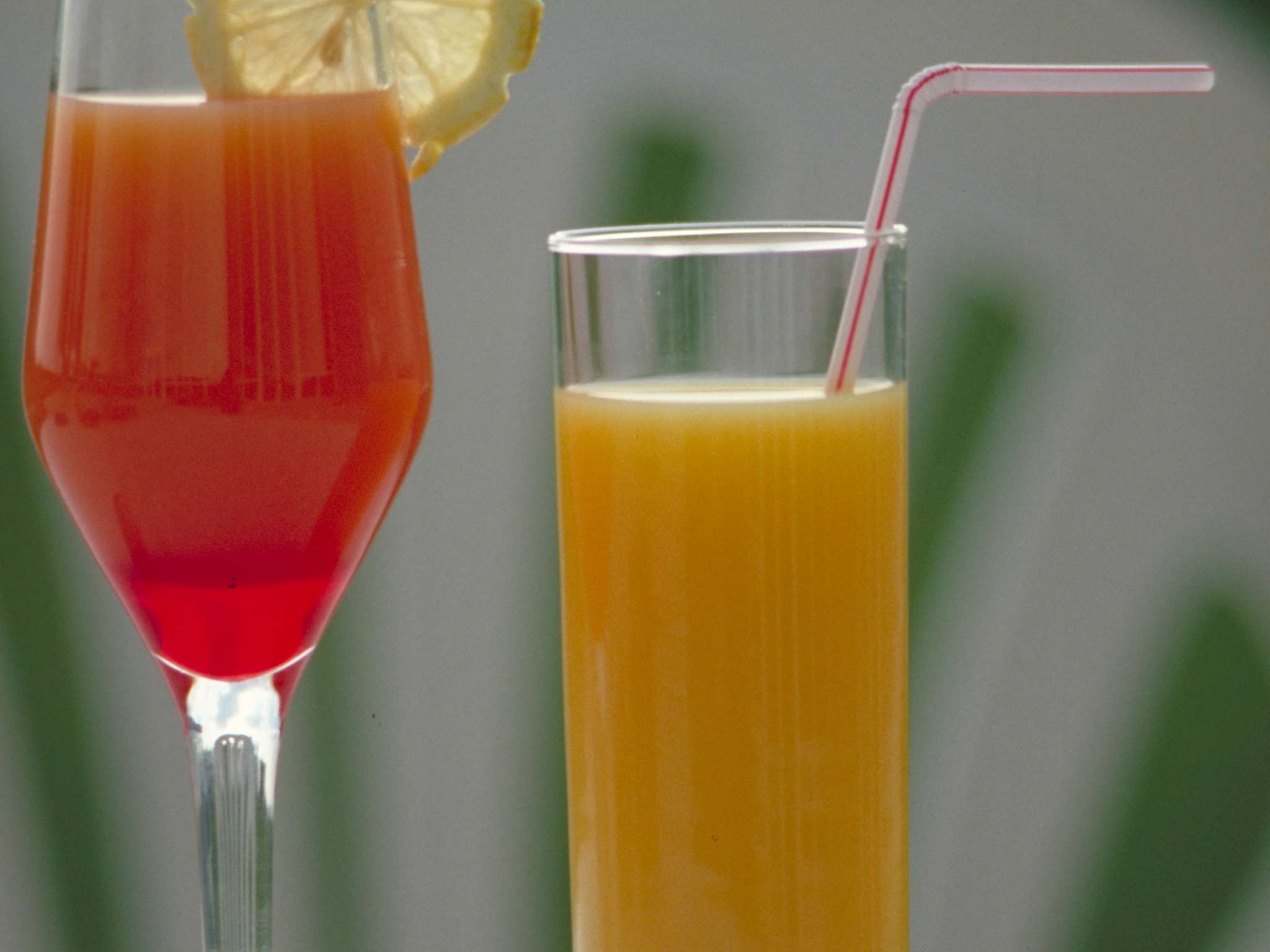 Photo - Novotel Frankfurt City