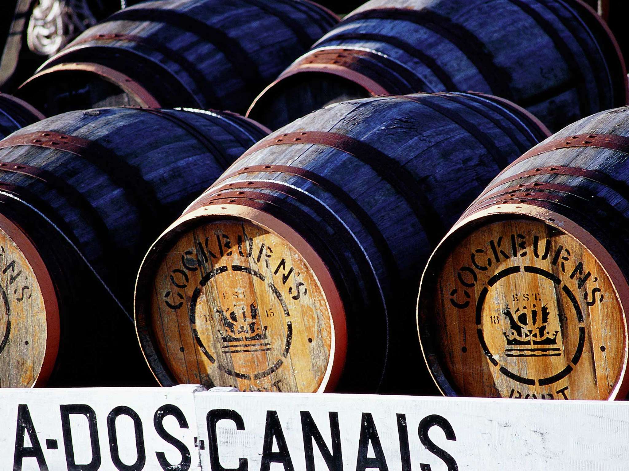 Foto - Novotel Porto Gaia