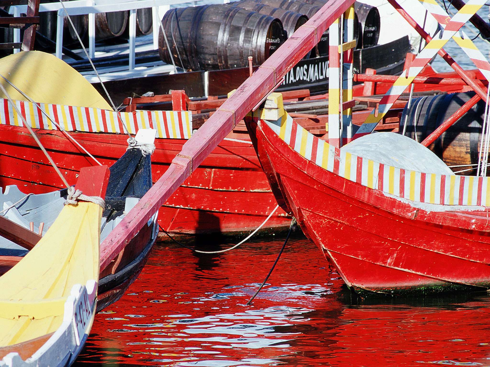 Foto - Novotel Porto Gaia