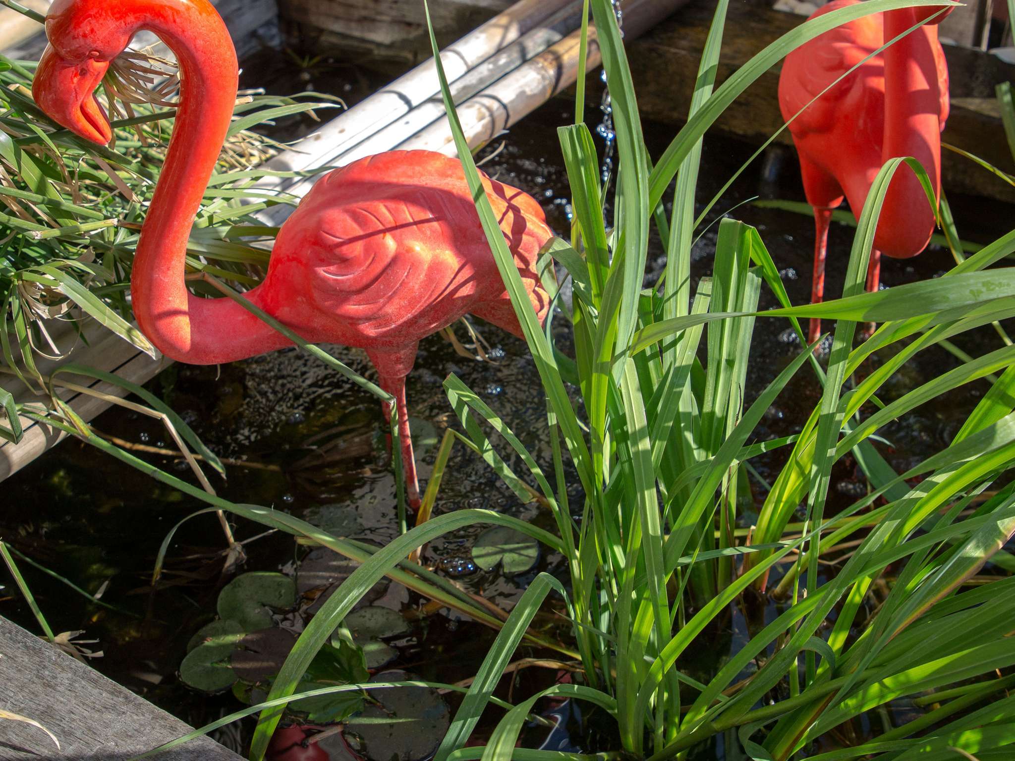 Foto - ibis Brignoles Provence Verte