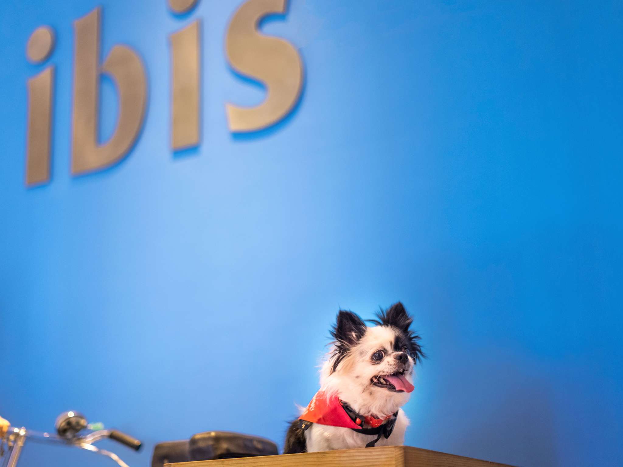 Foto - ibis Brignoles Provence Verte