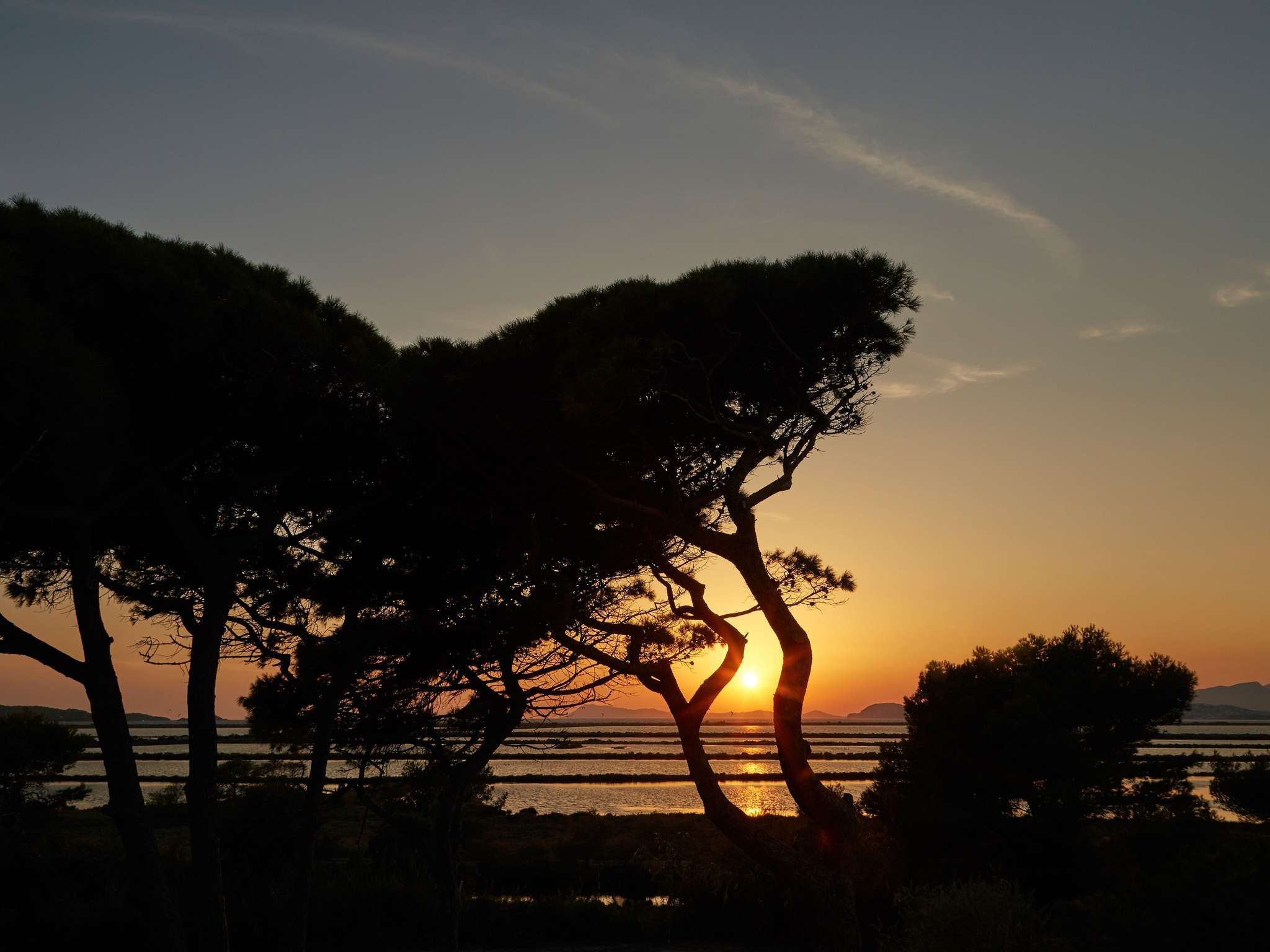 Photo - Mercure Hyères Centre Côte d'Azur